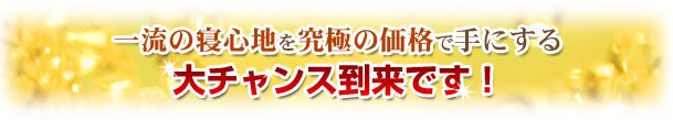 �ꗬ�̐Q�S�n�����ɂ̉��i�Ŏ�ɂ����`�����X�����ł�!